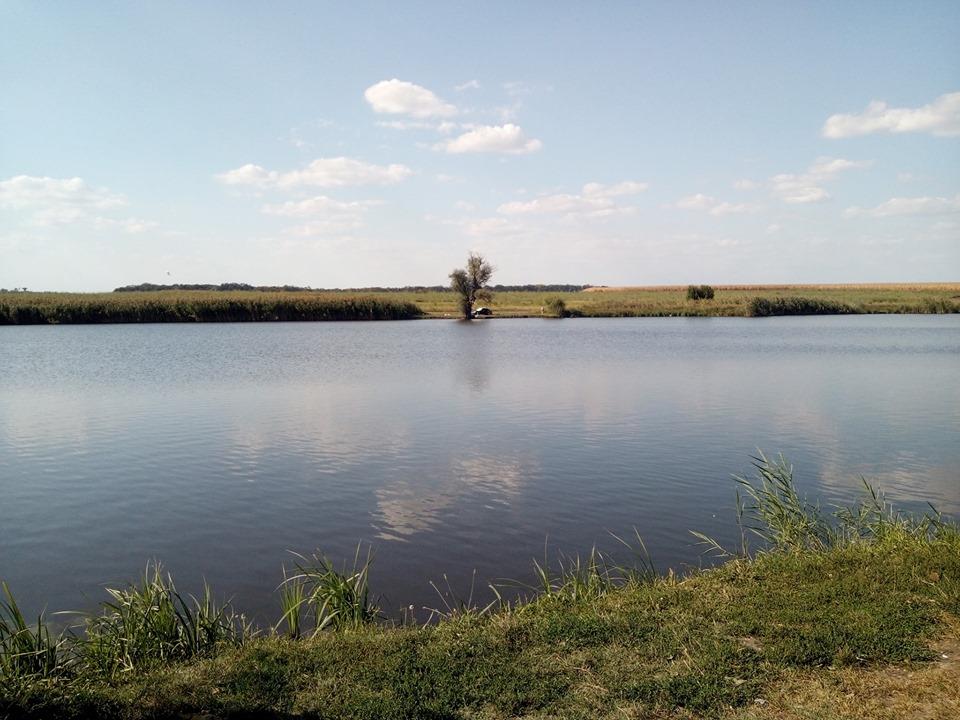 C&R - 6981547824794466187990536235603575267917824n1.jpg